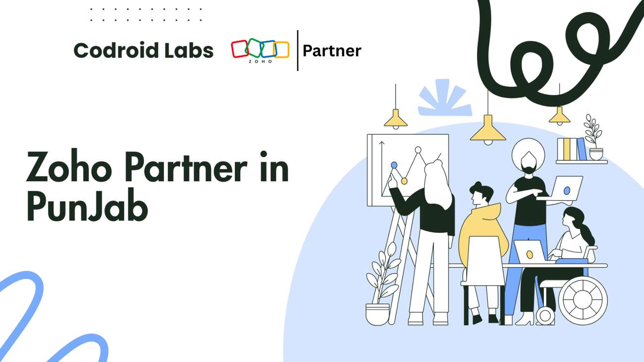Zoho Partner in Punjab
